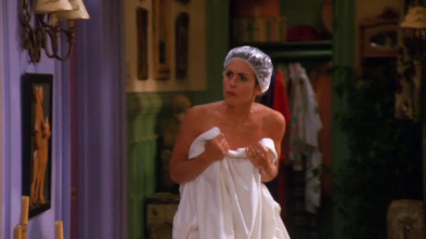 Friends, Season 1 (T1): Ep.13 El de los melones