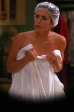 Imagen de Friends (T1): Ep.13 El de los melones - 1