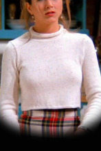 Imagen de Friends (T1): Ep.19 El mono se escapa - 1