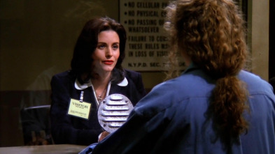 Imagen de Friends (T1): Ep.21 El de la Mónica falsa - 2