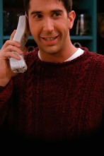 Friends (T2): Ep.7 El de cuando Ross se entera