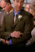 Imagen de Friends (T2): Ep.11 El de la boda lesbiana - 1