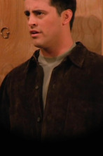 Imagen de Friends (T2): Ep.17 El de cuando Eddie viene a casa - 1