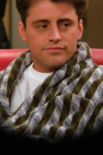 Imagen de Friends (T2): Ep.18 El de cuando el Dr. Ramoray muere - 1
