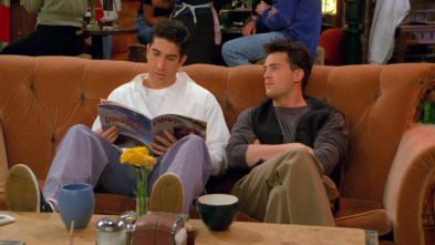 Imagen de Friends (T2): Ep.21 El de los matones - 2