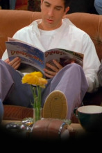 Imagen de Friends (T2): Ep.21 El de los matones - 1