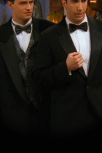 Imagen de Friends (T3): Ep.2 El de cuando nadie está listo - 1