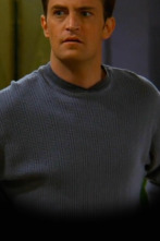 Imagen de Friends (T3): Ep.11 El de cuando Chandler no recuerda qué hermana era - 1
