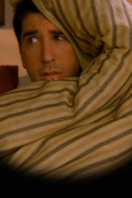Imagen de Friends (T3): Ep.16 El de la mañana siguiente - 1