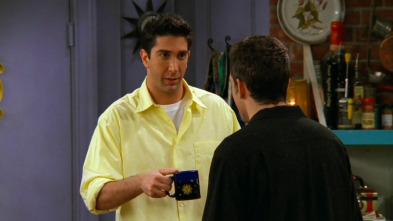 Friends (T3): Ep.23 El de la cosa de Ross