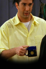 Imagen de Friends (T3): Ep.23 El de la cosa de Ross - 1