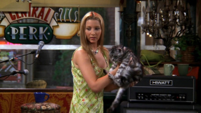 Friends (T4): Ep.2 El de la gata