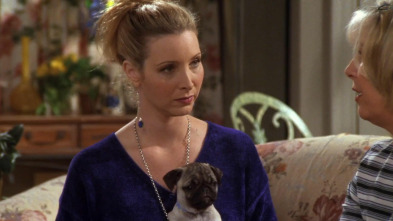 Imagen de Friends (T4): Ep.11 El del útero de Phoebe - 2