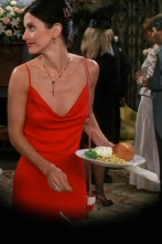 Imagen de Friends (T5): Ep.1 El de después de que Ross dijera el nombre de Rachel - 1