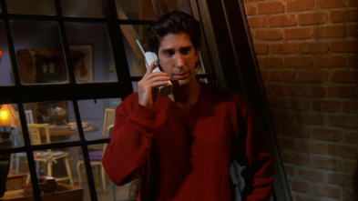 Imagen de Friends (T5): Ep.6 El del Yeti - 2