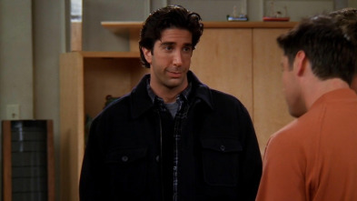 Friends (T5): Ep.7 El que Ross se Muda