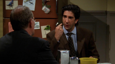 Friends (T5): Ep.9 El del sándwich de Ross