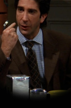 Imagen de Friends (T5): Ep.9 El del sándwich de Ross - 1