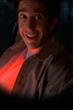 Imagen de Friends (T5): Ep.20 El de la ronda policial - 1