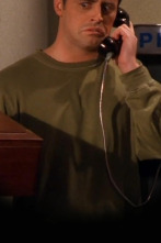 Imagen de Friends (T5): Ep.22 El del primer éxito de Joey - 1