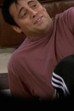 Imagen de Friends (T6): Ep.4 En el que Joey pierde su seguro - 1