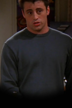 Friends (T6): Ep.11 El de la mesa de boticario