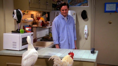 Imagen de Friends (T6): Ep.20 El de Mac y C.H.E.S.S.E. - 2