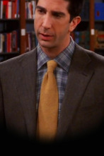 Imagen de Friends (T7): Ep.7 El del libro de Ross - 1
