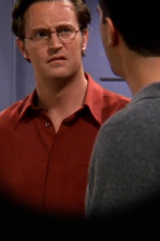 Imagen de Friends (T7): Ep.8 En el que a Chandler no le gustan los perros - 1
