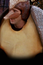 Imagen de Friends (T7): Ep.10 El del armadillo navideño - 1