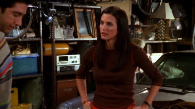 Friends (T7): Ep.13 El que Rosita muere