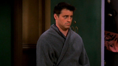 Friends (T9): Ep.20 El de la fiesta de la serie