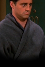 Imagen de Friends (T9): Ep.20 El de la fiesta de la serie - 1