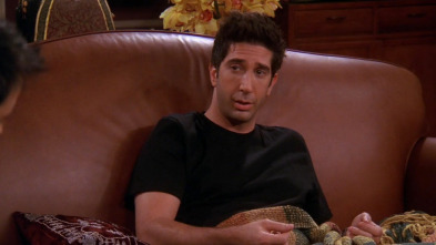 Friends (T10): Ep.2 En el que Ross está bien