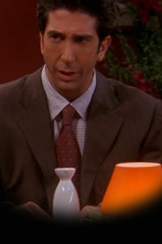 Imagen de Friends (T10): Ep.6 El de la beca de Ross - 1