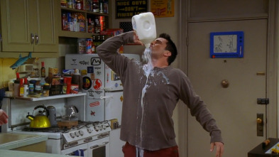 Imagen de Friends (T10): Ep.13 El de cuando Joey habla francés - 2