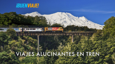 Viajes alucinantes en tren 