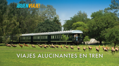 Viajes alucinantes en tren 