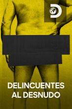 Delincuentes al desnudo 