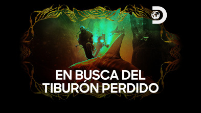 Imagen de En busca del tiburón perdido  - 2