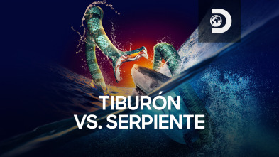 Tiburón vs. Serpiente