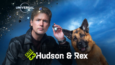 Hudson & Rex (T6): Ep.10 ¿Quién es tu caddy?