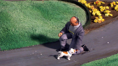 Imagen de Robot Chicken (T1): Ep.13 Muñeco Atta - 2