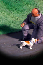 Imagen de Robot Chicken (T1): Ep.13 Muñeco Atta - 1