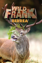 Wild Frank: La Berrea