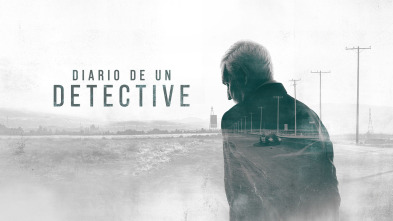 Imagen de Diario de un detective  - 2