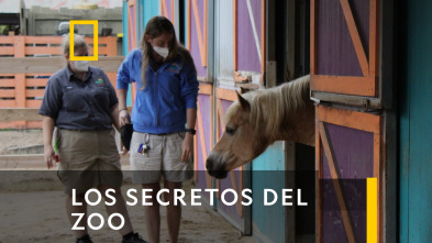 Los Secretos del Zoo 