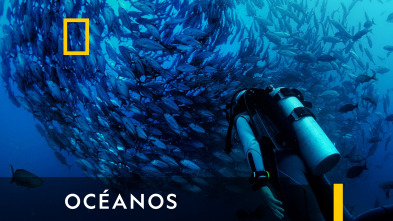 Imagen de Océanos  - 2