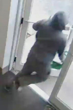 Imagen de Body Cam: Lucha o escapa - 1