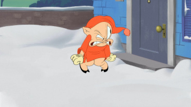 Imagen de Looney Tunes... (T3): Sam-mérica / Sacar al gato: Puerta giratoria / El ladrón de la barbacoa - 2